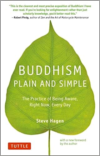 Buddhism Plain and Simple: The Practice of Being Aware Right Now, Every Day by Steve Hagen