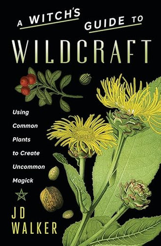 A Witch's Guide to Wildcraft: Using Common Plants to Create Uncommon Magick by JD Walker