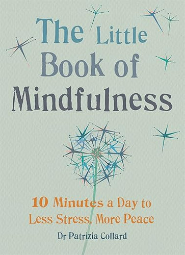 Little Book of Mindfulness by Patrizia Collard