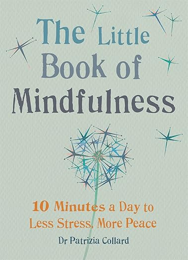 Little Book of Mindfulness by Patrizia Collard