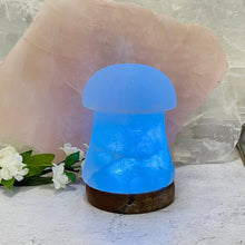 Salt Lamp II Mushroom II Color Changing LEDs