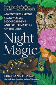 Night Magic by Leigh Ann Henion