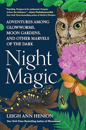 Night Magic by Leigh Ann Henion