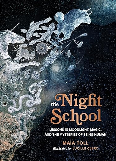 The Night School by Maia Toll