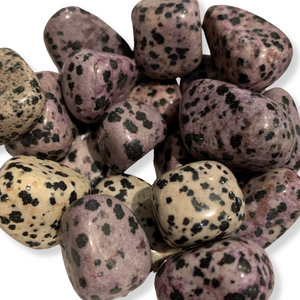 Tumbled Dalmatian Jasper