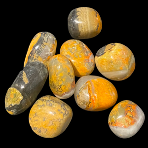 Tumbled Bumble Bee Jasper