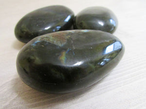 Labradorite Crystal Palm Stones - Crystal - Cosmic Corner Savannah