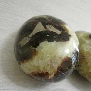 Dragon Egg Septarian Crystal Palm Stone - Crystal - Cosmic Corner Savannah