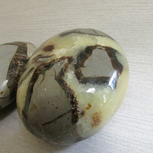 Dragon Egg Septarian Crystal Palm Stone - Crystal - Cosmic Corner Savannah