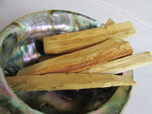 Large Abalone Shell || Fire-proof Incense and Sage Burner Dish - Burner - Cosmic Corner Savannah
