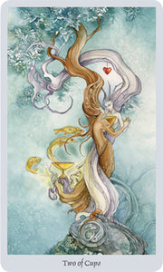 Shadowscapes Tarot Deck