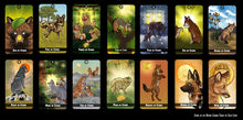 The Divine Canine Tarot | Indie Tarot Deck Focused On Wild and Mythological Canids