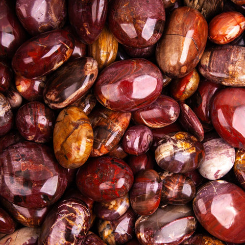 Tumbled Red Petrified Wood