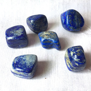 Lapis Lazuli Tumbled Stone - Crystal - Cosmic Corner Savannah