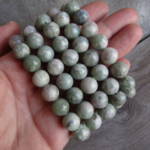 Bracelet  ||  Peace Jade  || 8mm or 10mm Round Beads