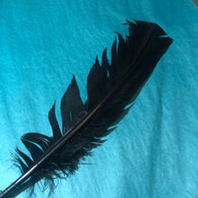 Feather for Smoke Cleansing