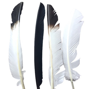 Feather for Smoke Cleansing