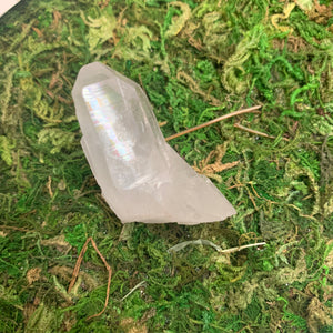 Cluster || Lemurian Quartz