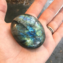 Labradorite Crystal Palm Stones - Crystal - Cosmic Corner Savannah